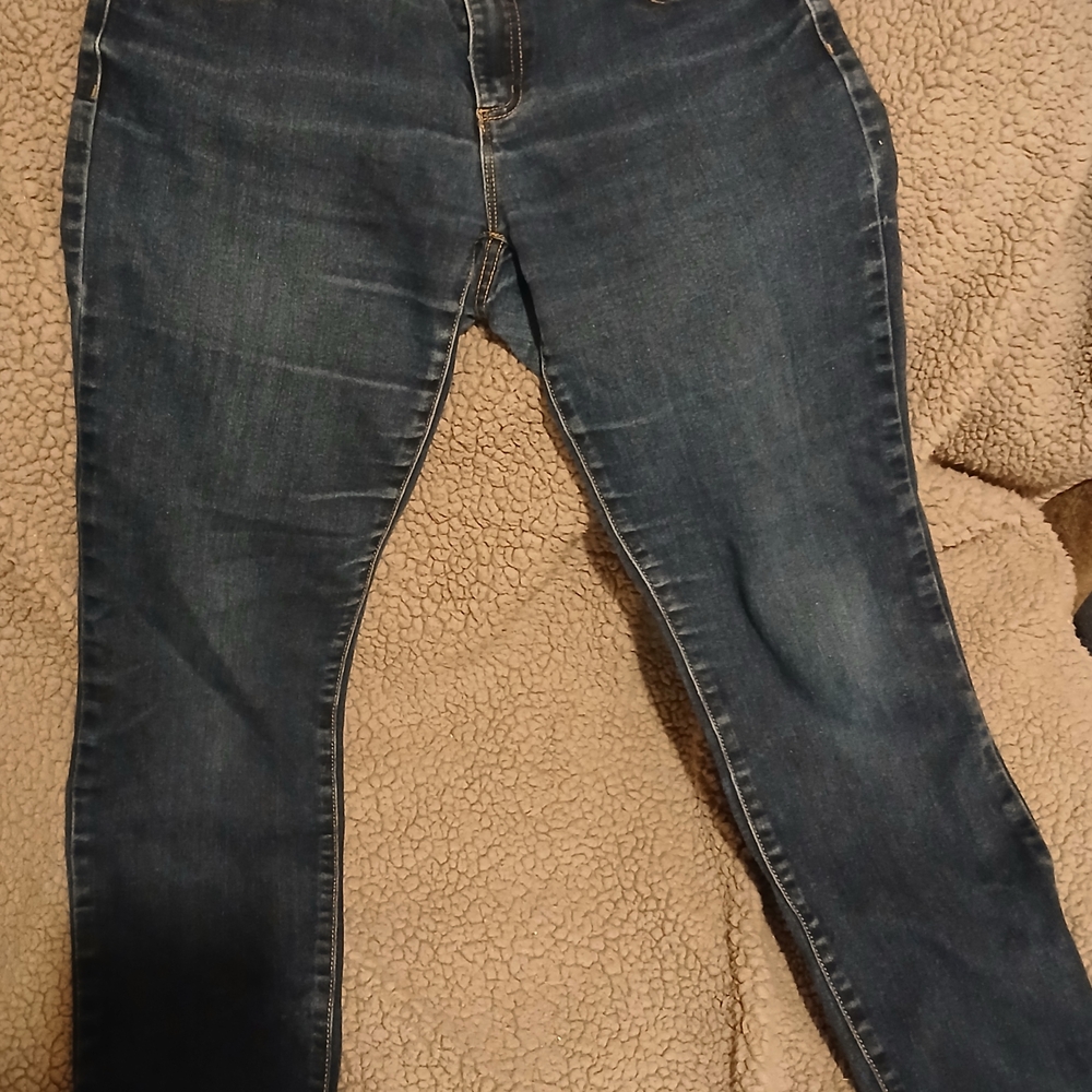 MICHAEL Michael Kors Indigo Skinny Jeans